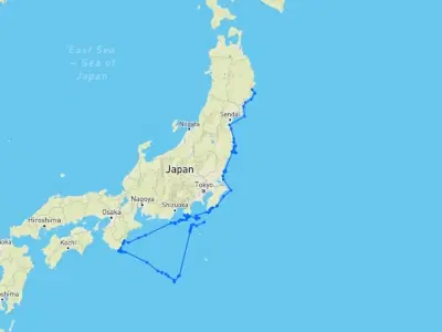 アオウミガメの移動軌跡