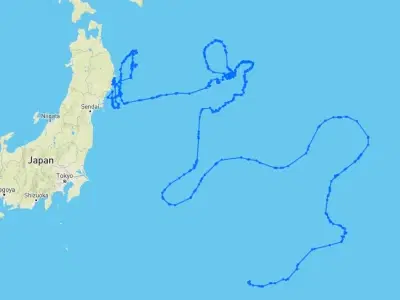 アカウミガメの移動軌跡