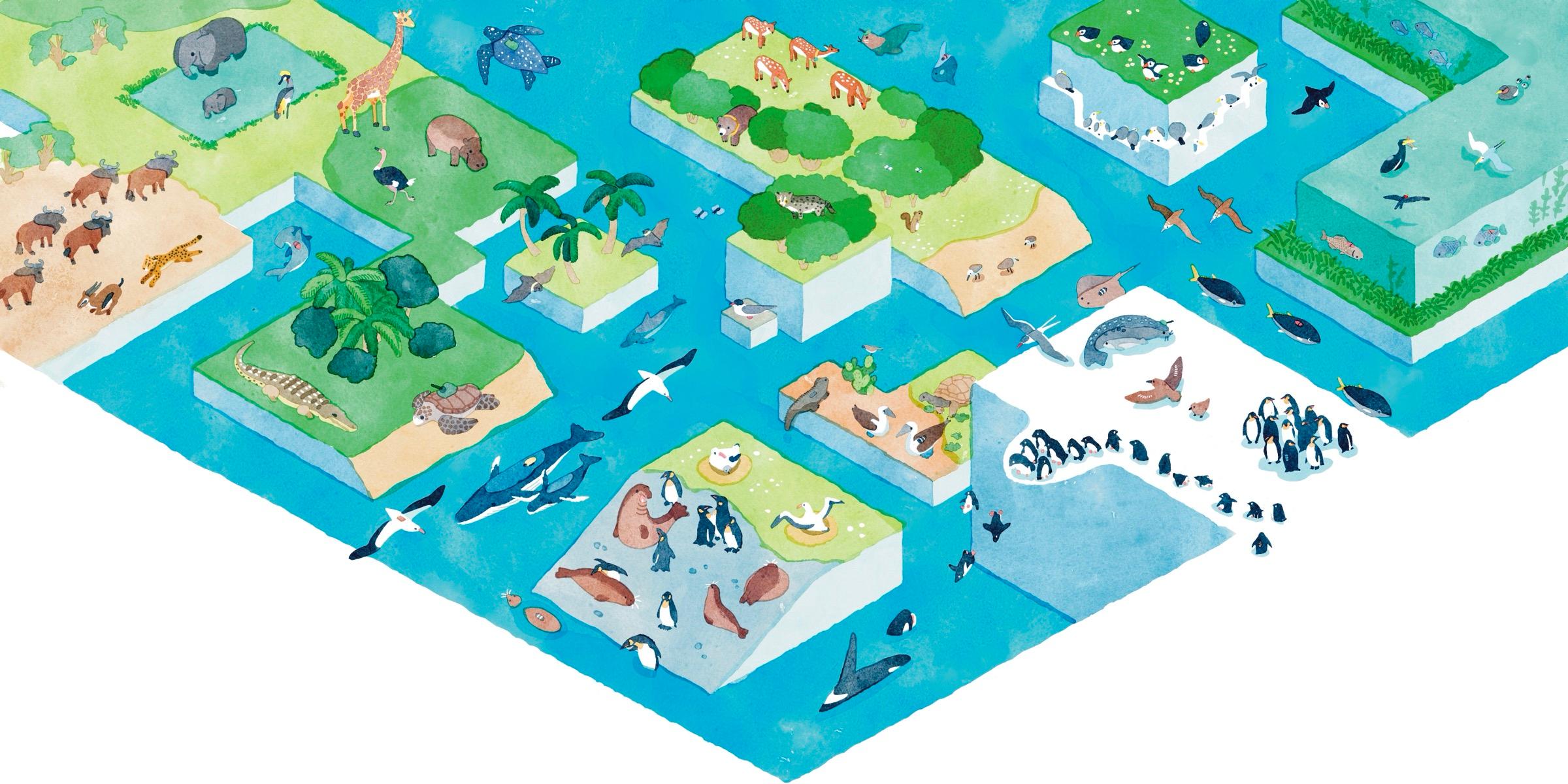 Biologging Illustration